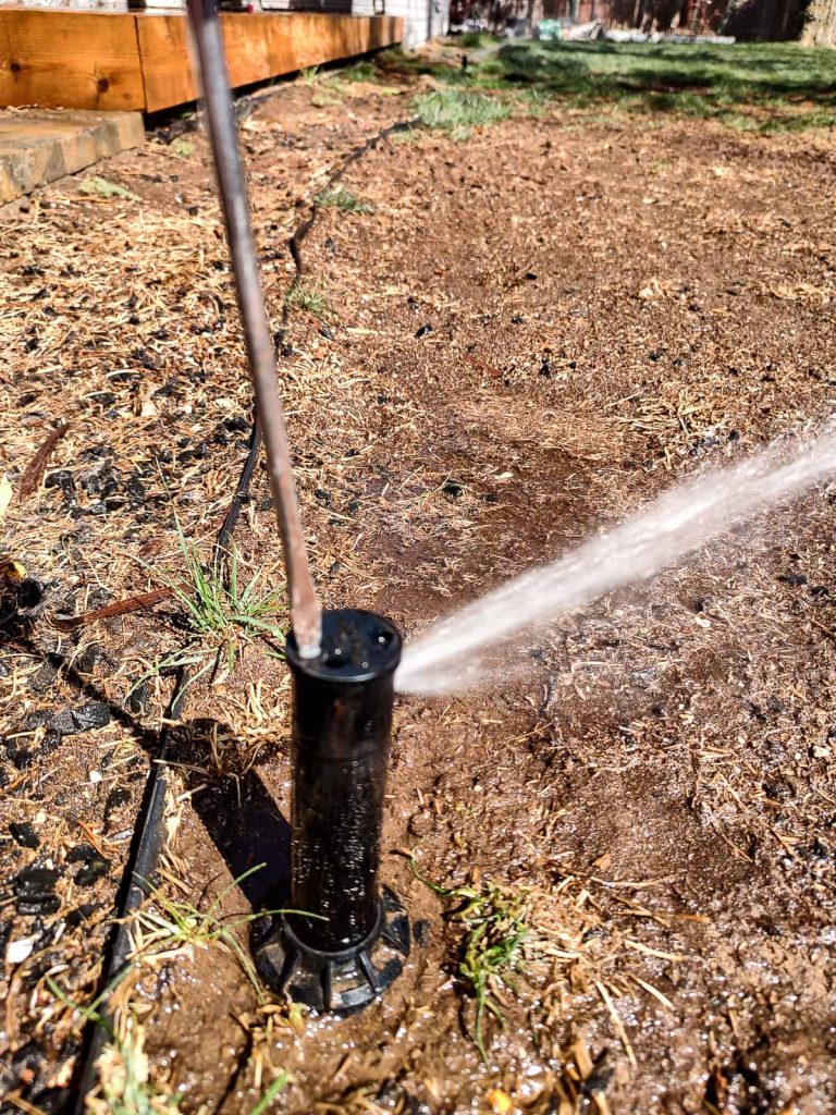Adjust the arc on a sprinkler head to accurately cover grass that was altered after winter
