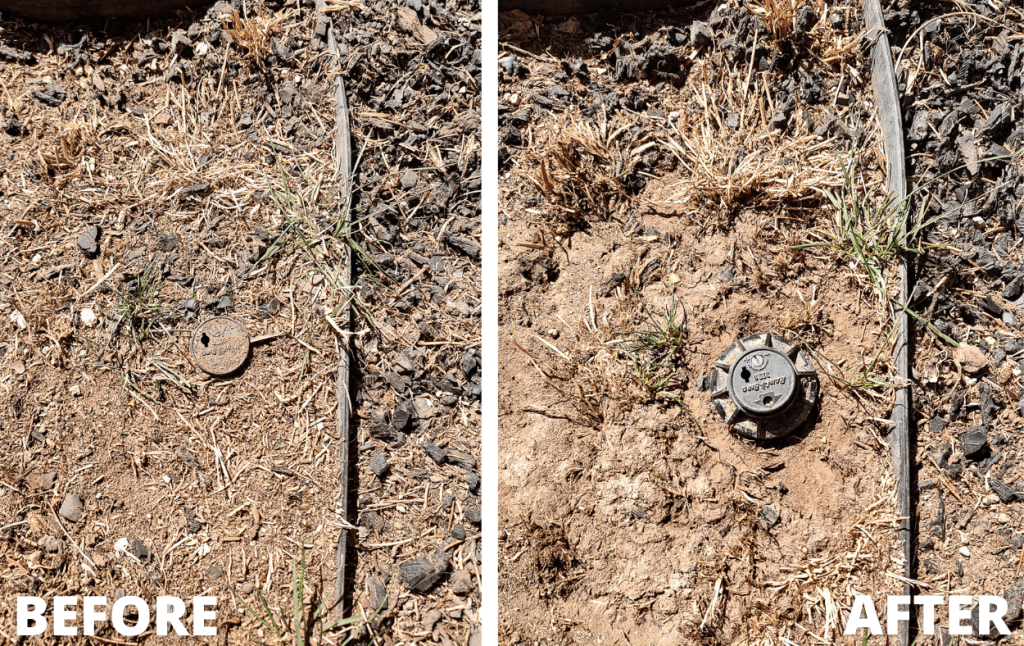 Showing a slightly buried sprinkler head before turning on sprinkler system after winter
