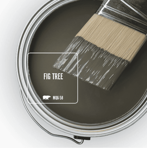 fig tree paint swatch from behr paint