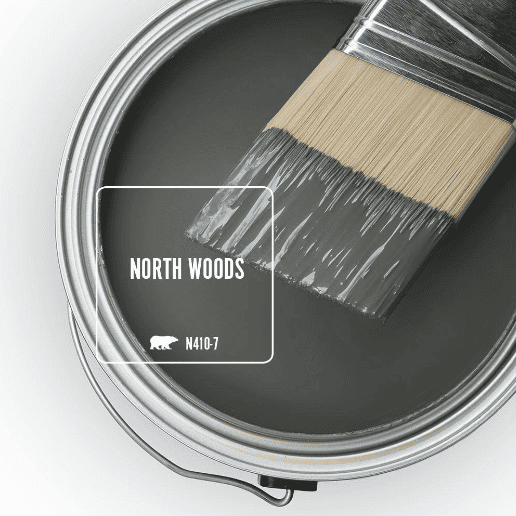 north woods paint swatch from behr paint