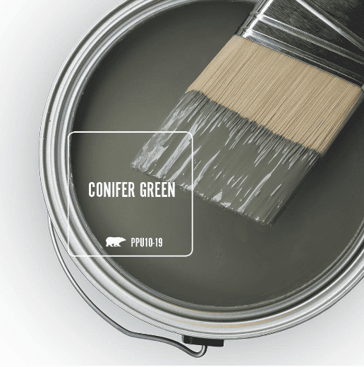 conifer green paint swatch from behr paint