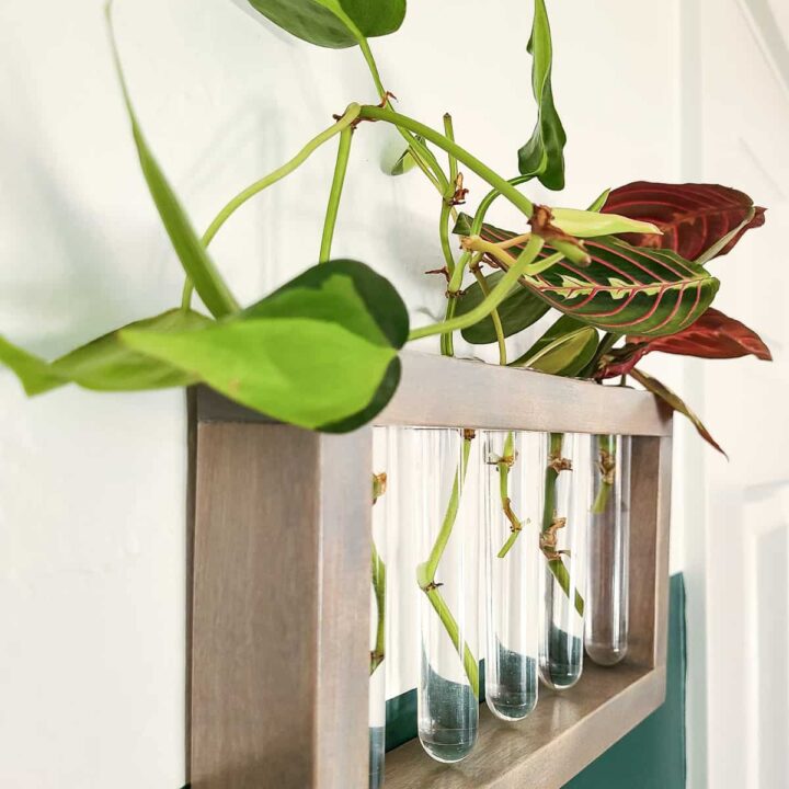 How to Make an Easy Hanging DIY Propagation Station