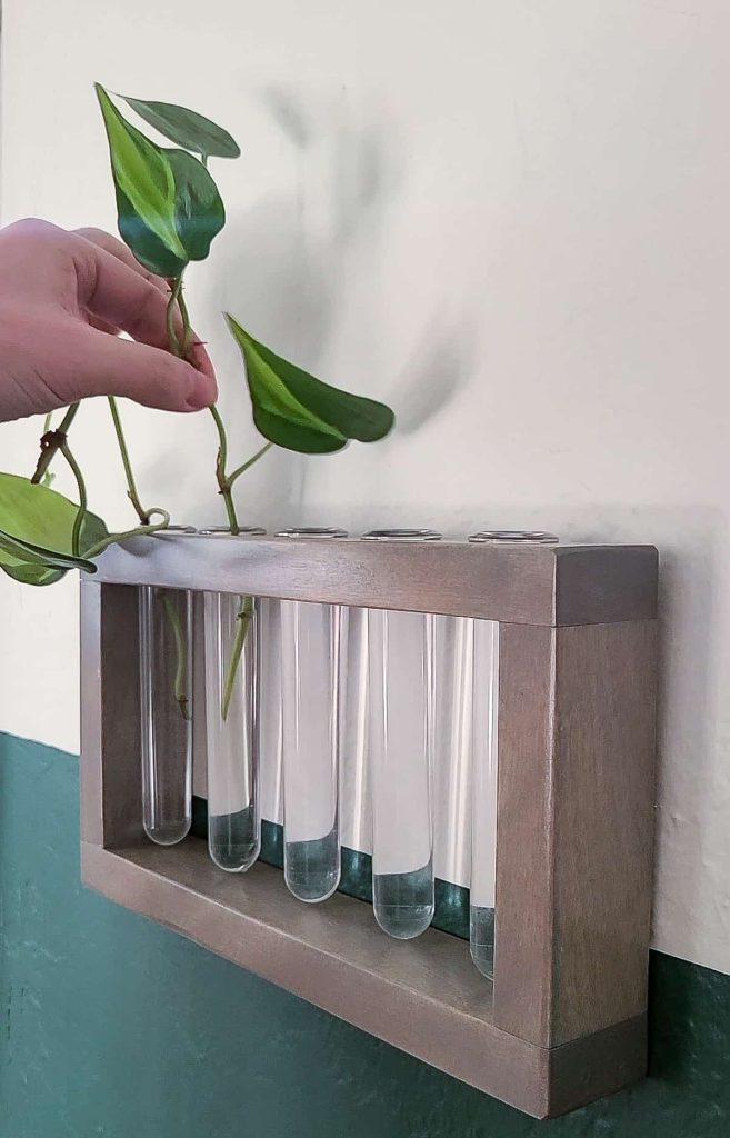 If you are looking for a great tutorial on a propagation station then follow along and big yours with this easy to follow guide