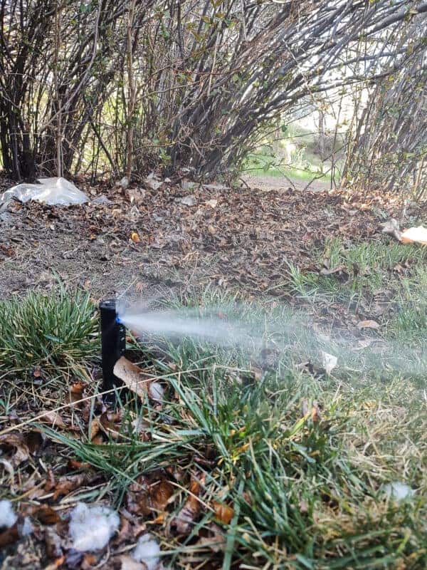 Turning On Sprinkler System After Winter - Making Manzanita