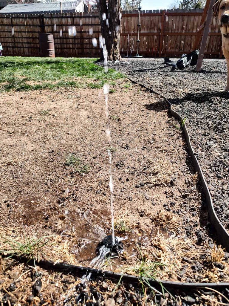 Picture of a sprinkler slowly repressurizing removing air and filling with water slowly