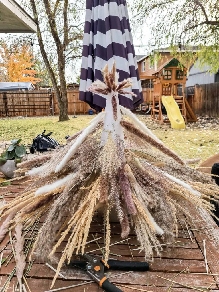 A photo of pampas grass in the backyard attempting to make a DIY mini tree