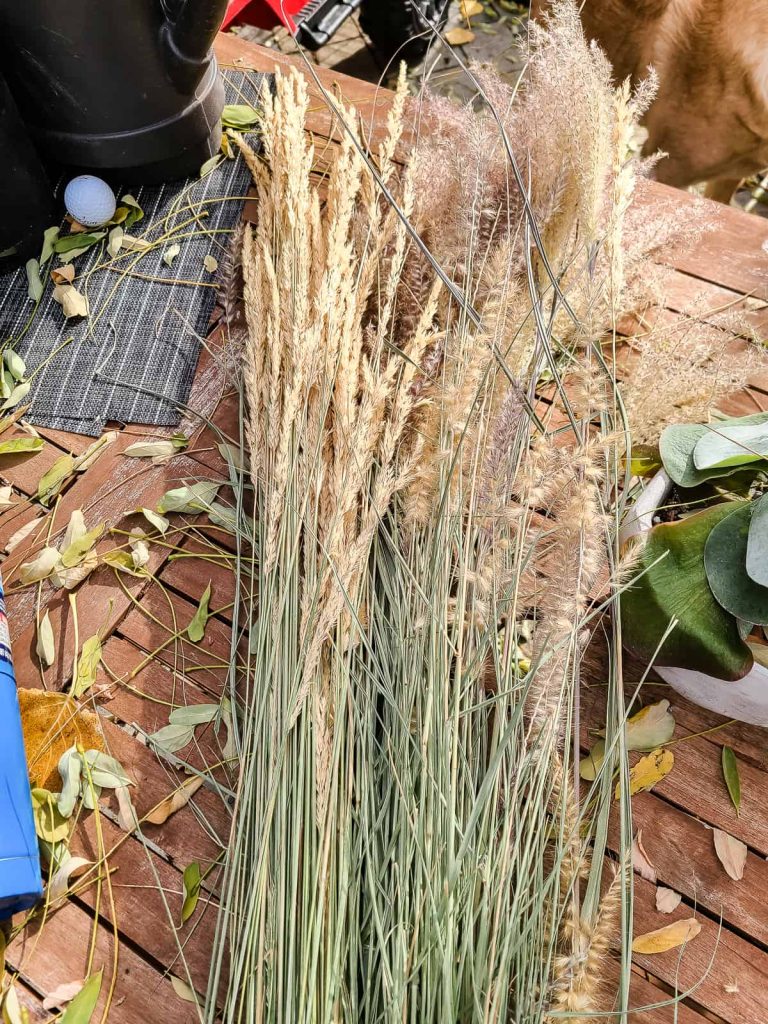 A photo of pampas grass plants laying on table