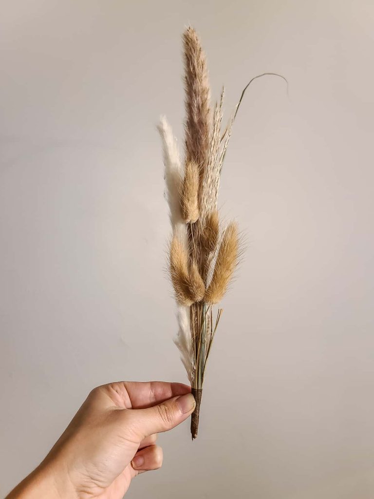 A photo of a person's hand holding a small bundles of pampas grass with floral tape