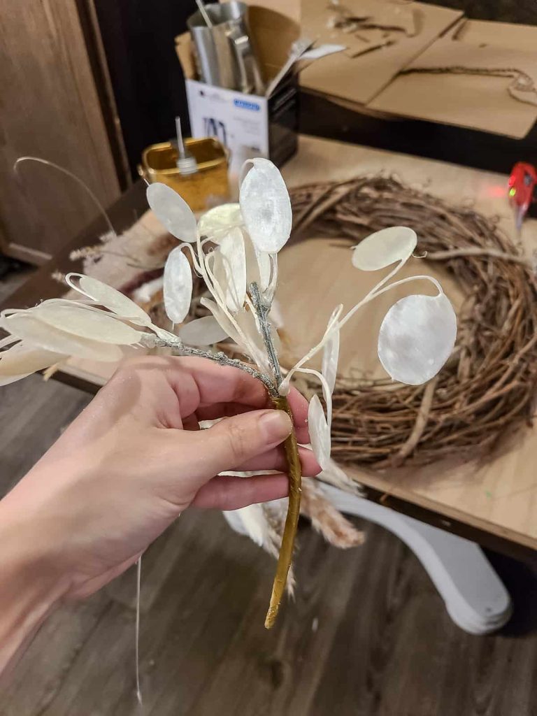 A person's hands holding a lunaria stems or money plant stems.