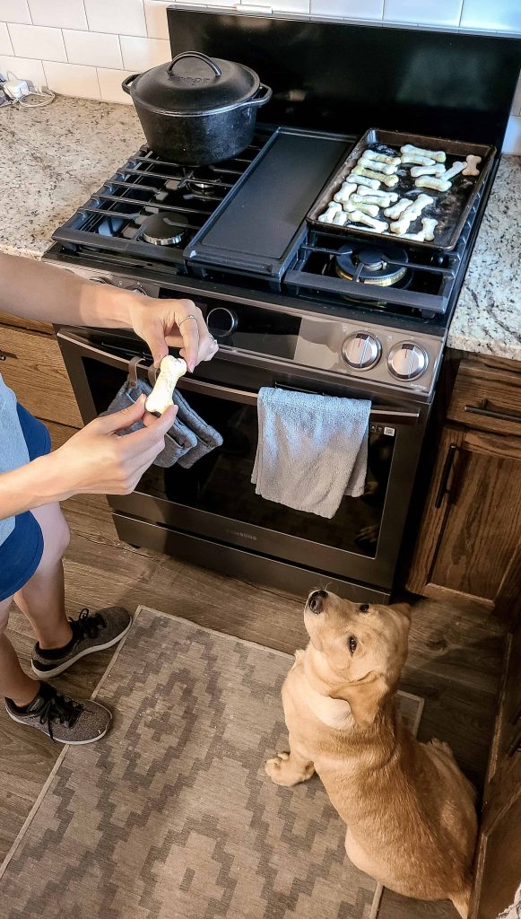 A person fed the dog with a Samsung Bespoke Gas Range on the side.