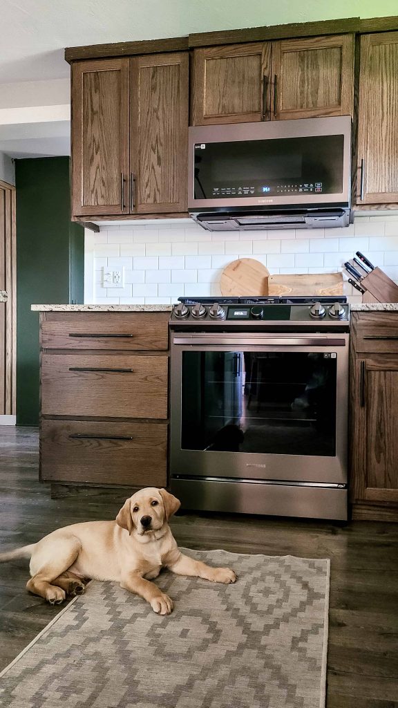 A photograph shows a kitchen with a samsung bespoke gas range and an oven on top with a dog seated next.