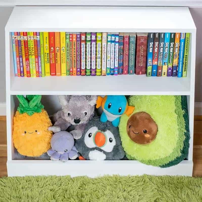 Kid's bookshelf with bottom shelf for stuffed animals