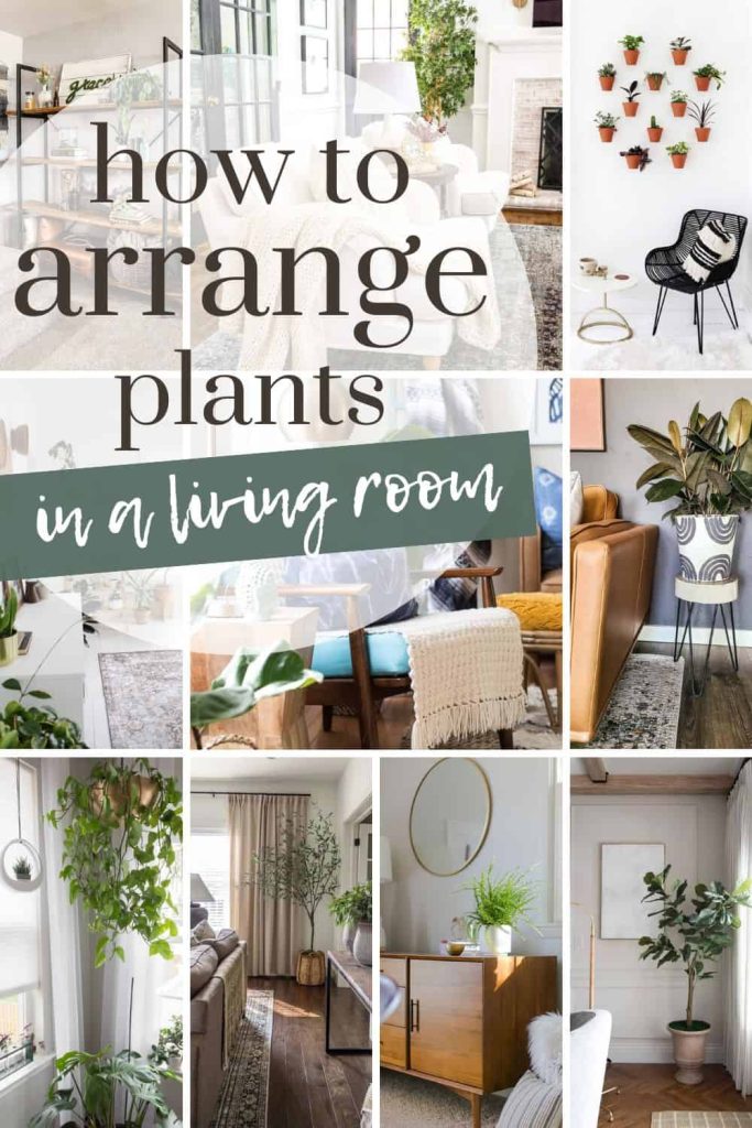 A captivating photo collage showcasing beautiful plant arrangements in a living room setting with text overlay that says how to arrange plans in a living room