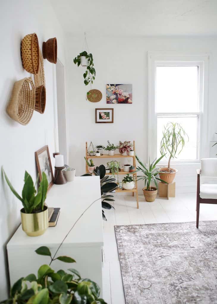 How to Arrange Plants in Living Room