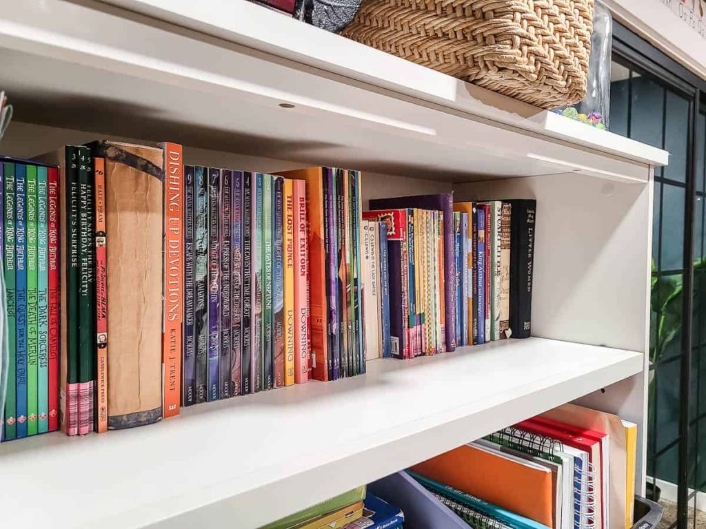 An image of collection of chapter books from thrift stores.