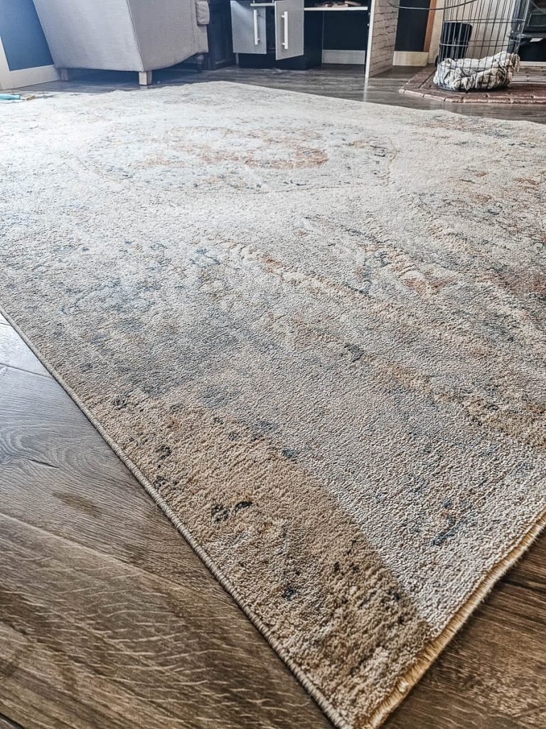 A carpet lies gracefully in the living room, adding warmth and comfort to the space.