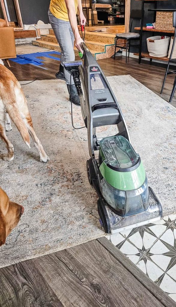 In the photo, a woman is seen using a rug shampooer to clean an area rug while a dog on the other side.