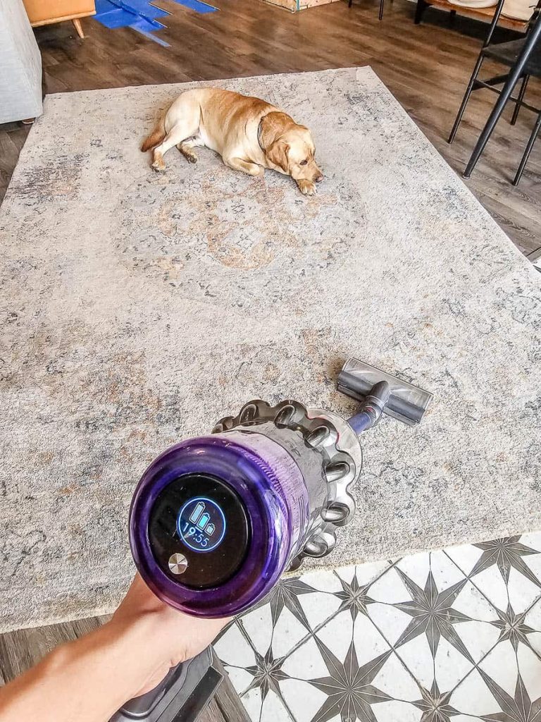 A vacuum cleaner is in action, diligently cleaning the carpet in the living room, with a dog calmly resting on it.