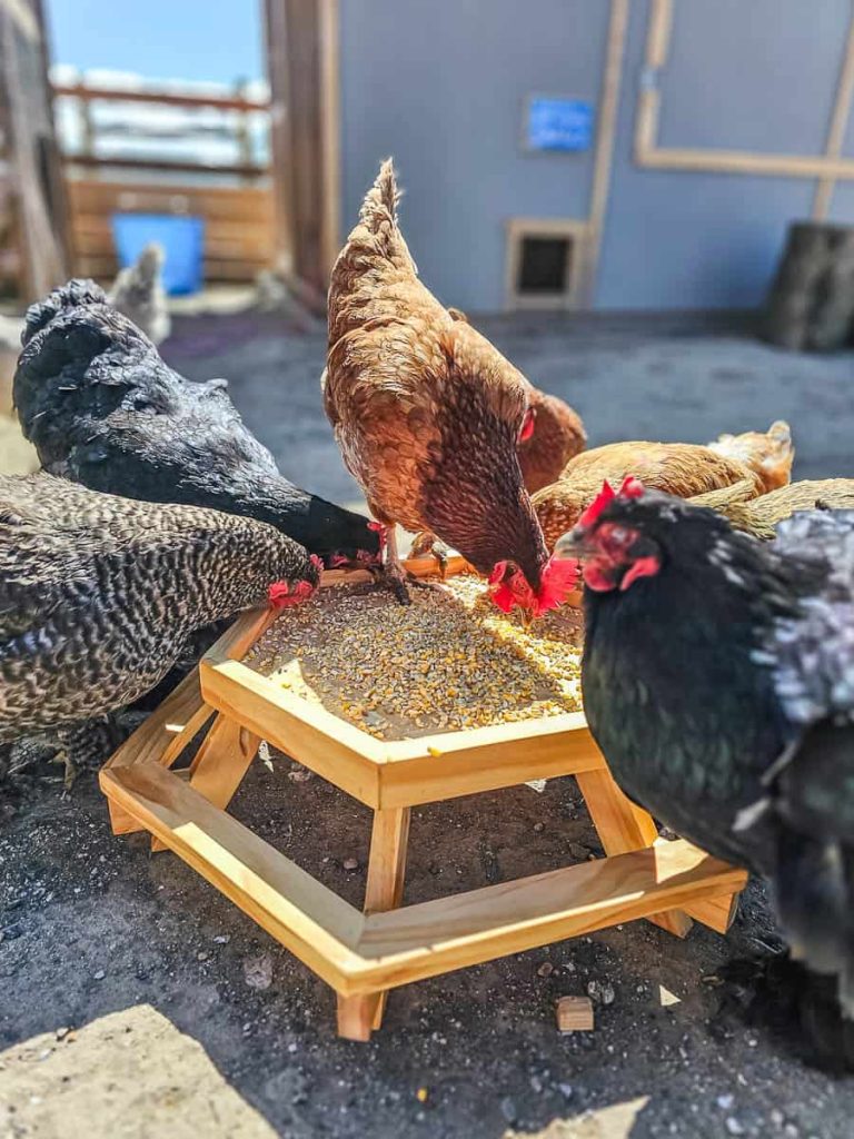 DIY Chicknic Table Plans
