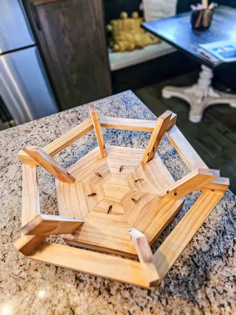 The back view of the Chicknic Table.
