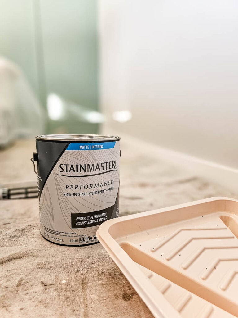 A photo of stainmaster in a can