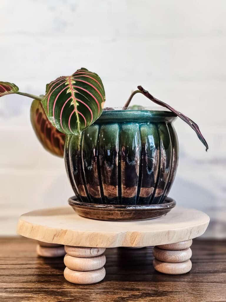DIY Wooden Riser Tutorial